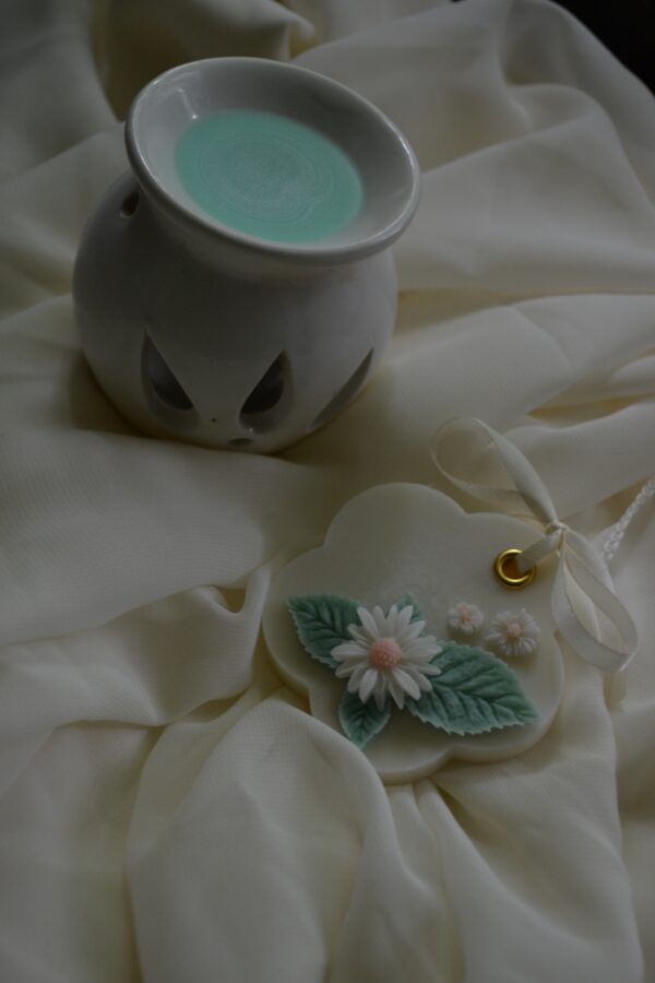 Odorizante de dulap "Roua din gradina"