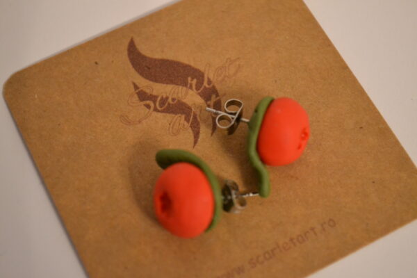 Cercei afine roșii cu frunze