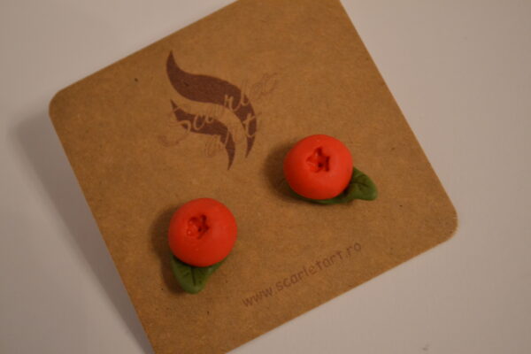 Cercei afine roșii cu frunze