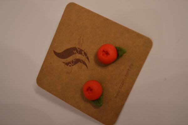 Cercei afine roșii cu frunze